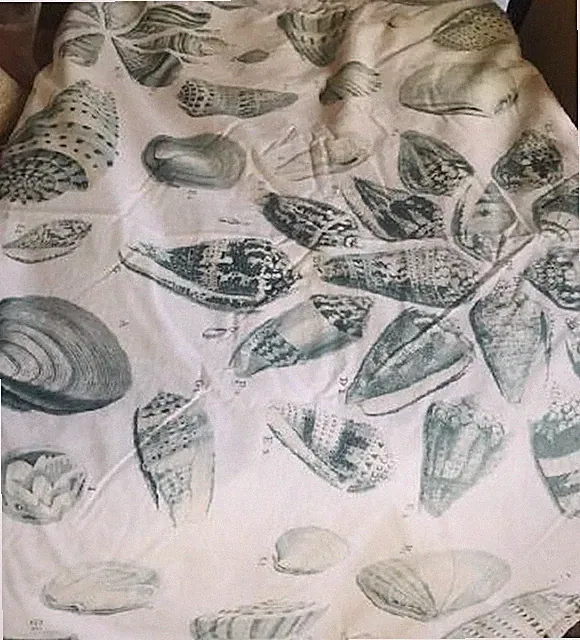 Pottery Barn Freeport Sea Shell Duvet Cover Blue Queen 2 Euro Shams 3pc Rare🦩